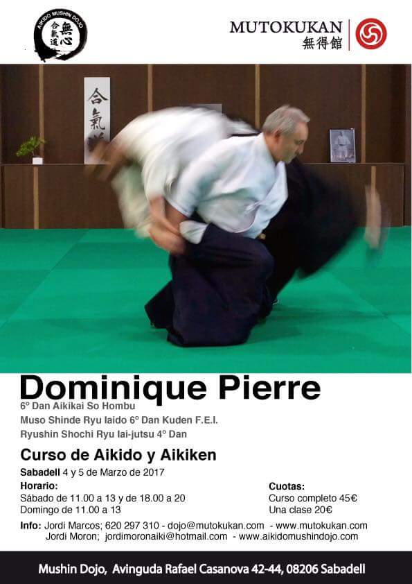 Dominique Pierre aikido y budo espaňa 